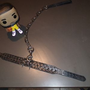 18-20 inch Dog collar with 24" leash